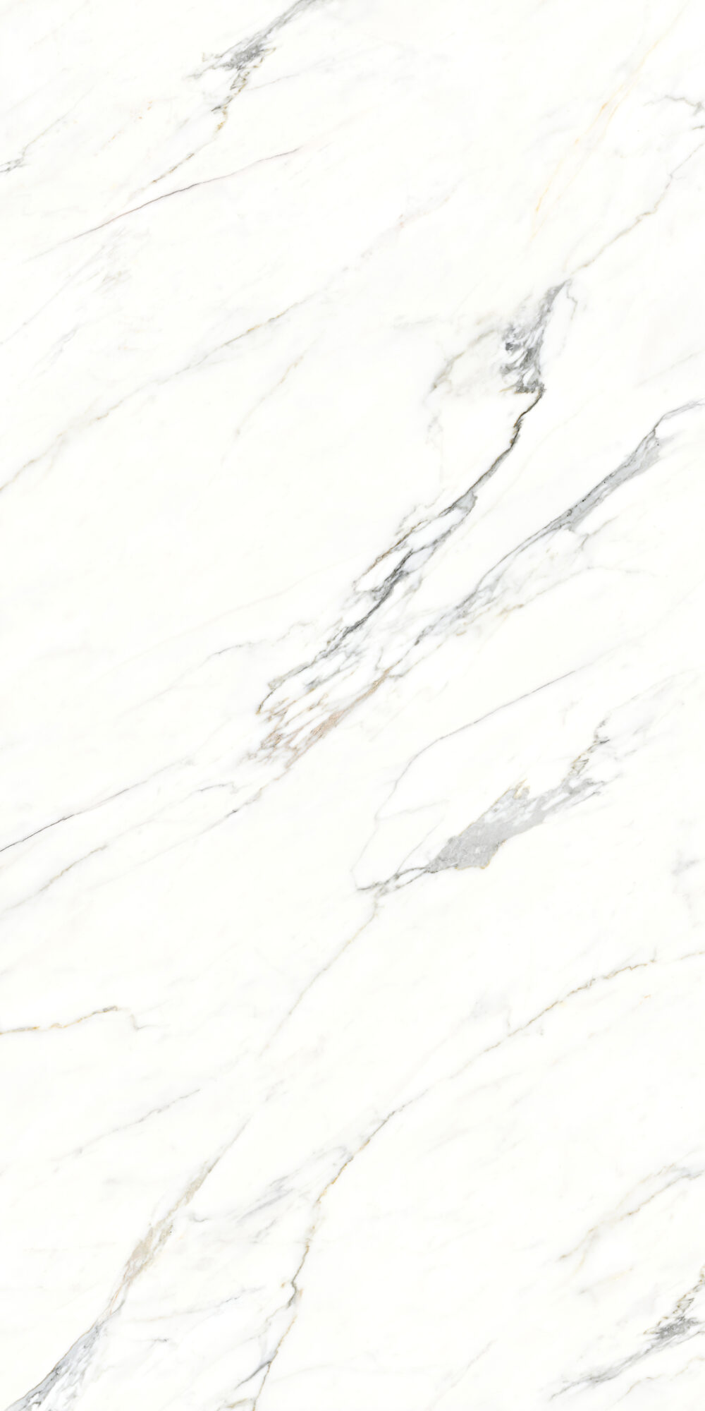 Calacatta White