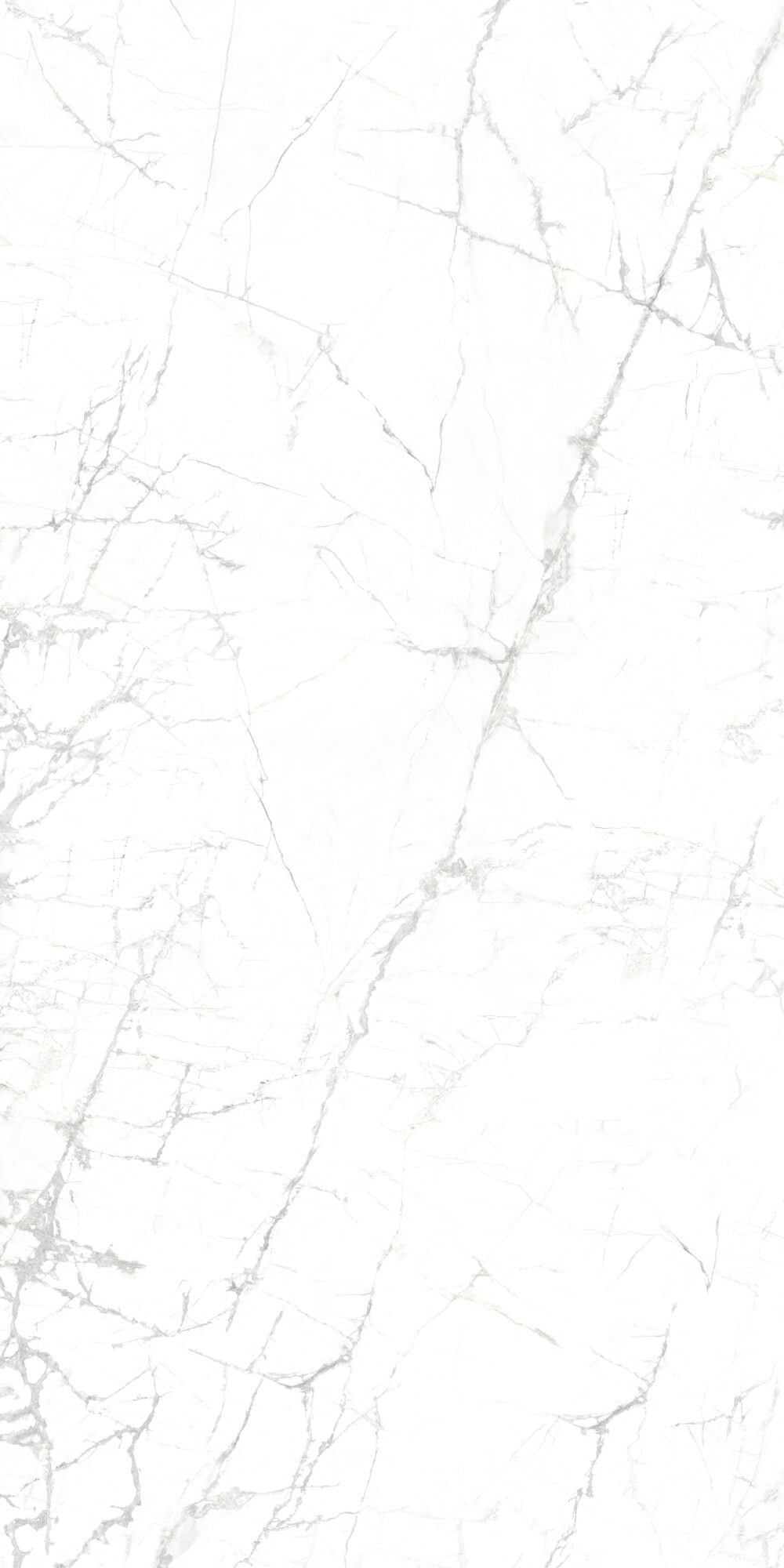 Invisible White