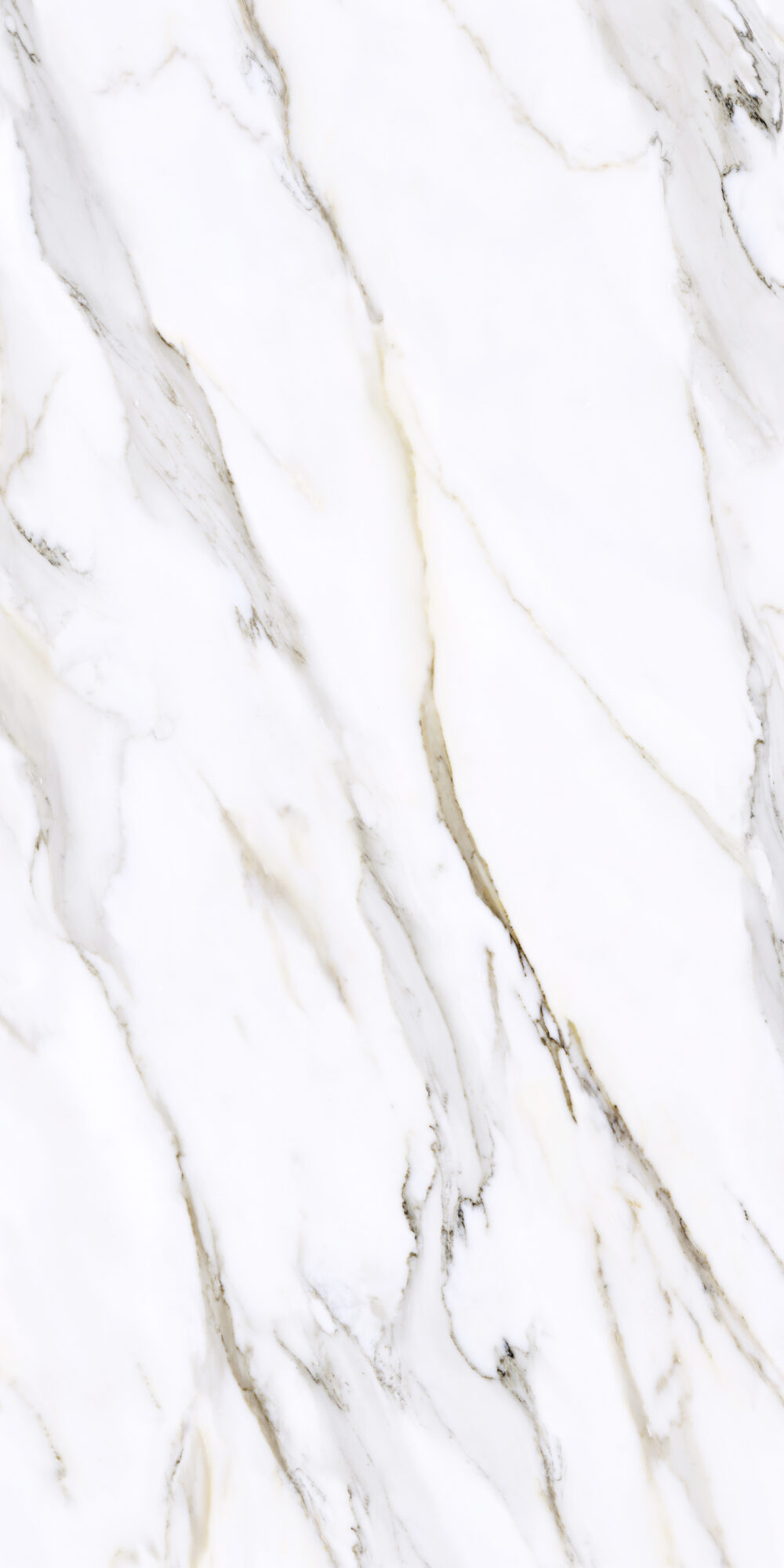 Calacatta Borghini