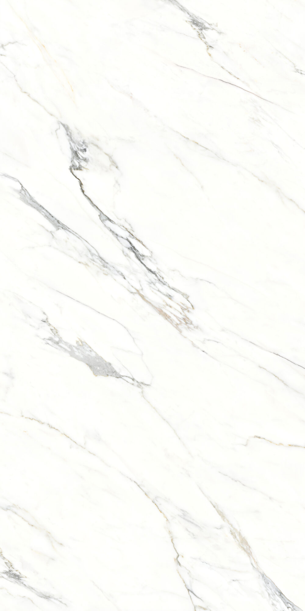 Calacatta White - sheerinsurface