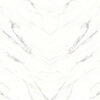 Calacatta White